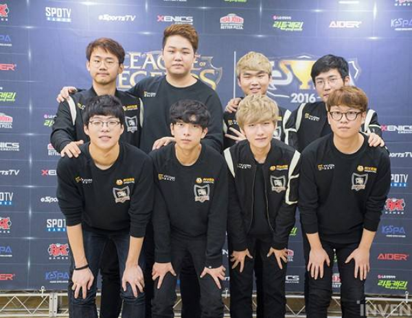 三角草必留 三角草必留